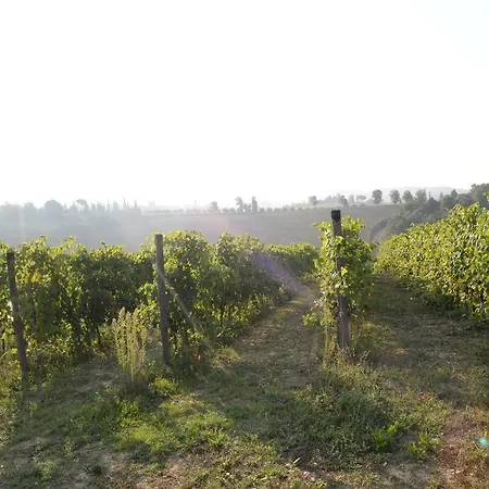 San Gregorio * Chiusi