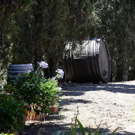 San Gregorio Farm stay