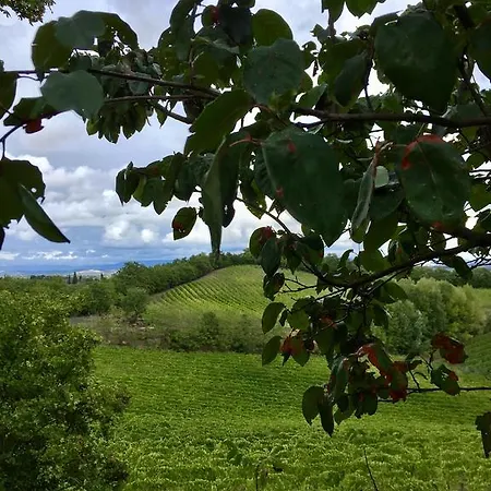 San Gregorio * Chiusi