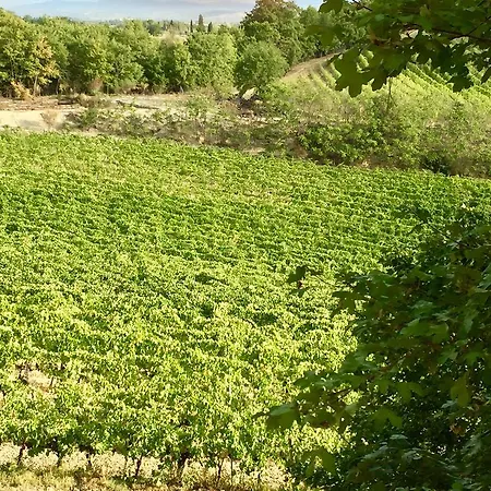 San Gregorio * Chiusi