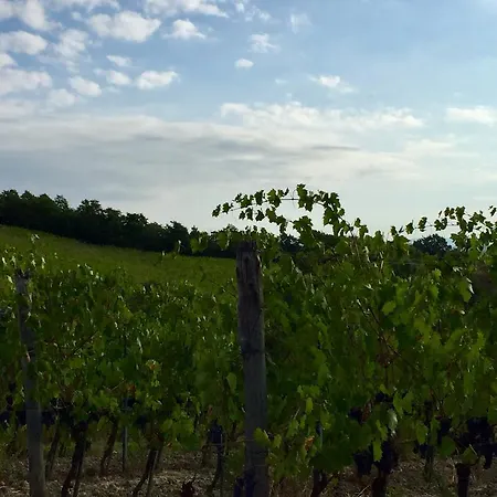 San Gregorio Farm stay Chiusi