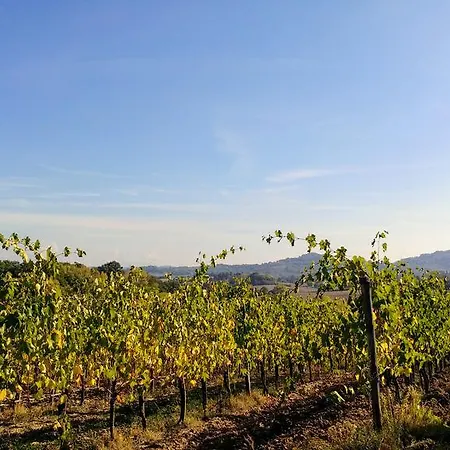 San Gregorio Farm stay *