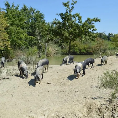 San Gregorio Gospodarstwo agroturystyczne