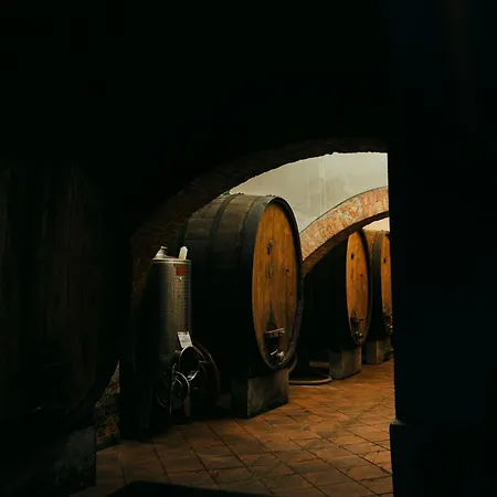 San Gregorio Gospodarstwo agroturystyczne *